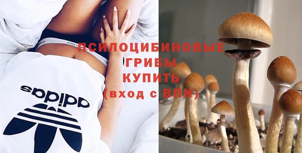 MDMA Premium VHQ Армянск